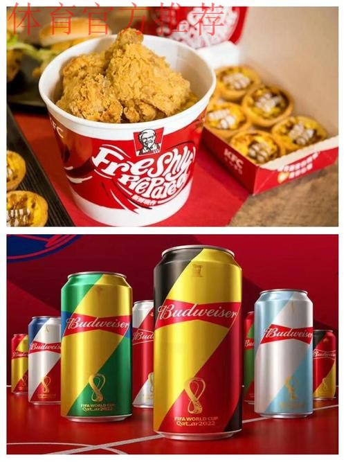 巴西世界杯票务和官方款待计划中国区正式启动